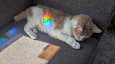 Pencil Suncatcher Sticker